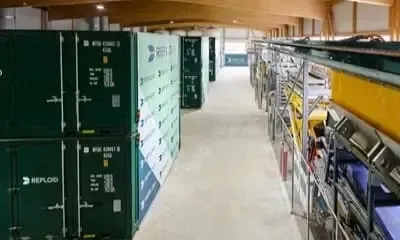 Grün und nachhaltig investieren.