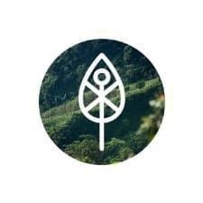 Fingreen Selection The Generation Forest eG Logo