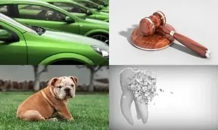 Nachhaltig vorsorgen um grün zu investieren.