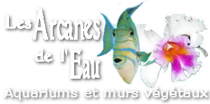 Les-Arcanes-de-l'Eau-logo