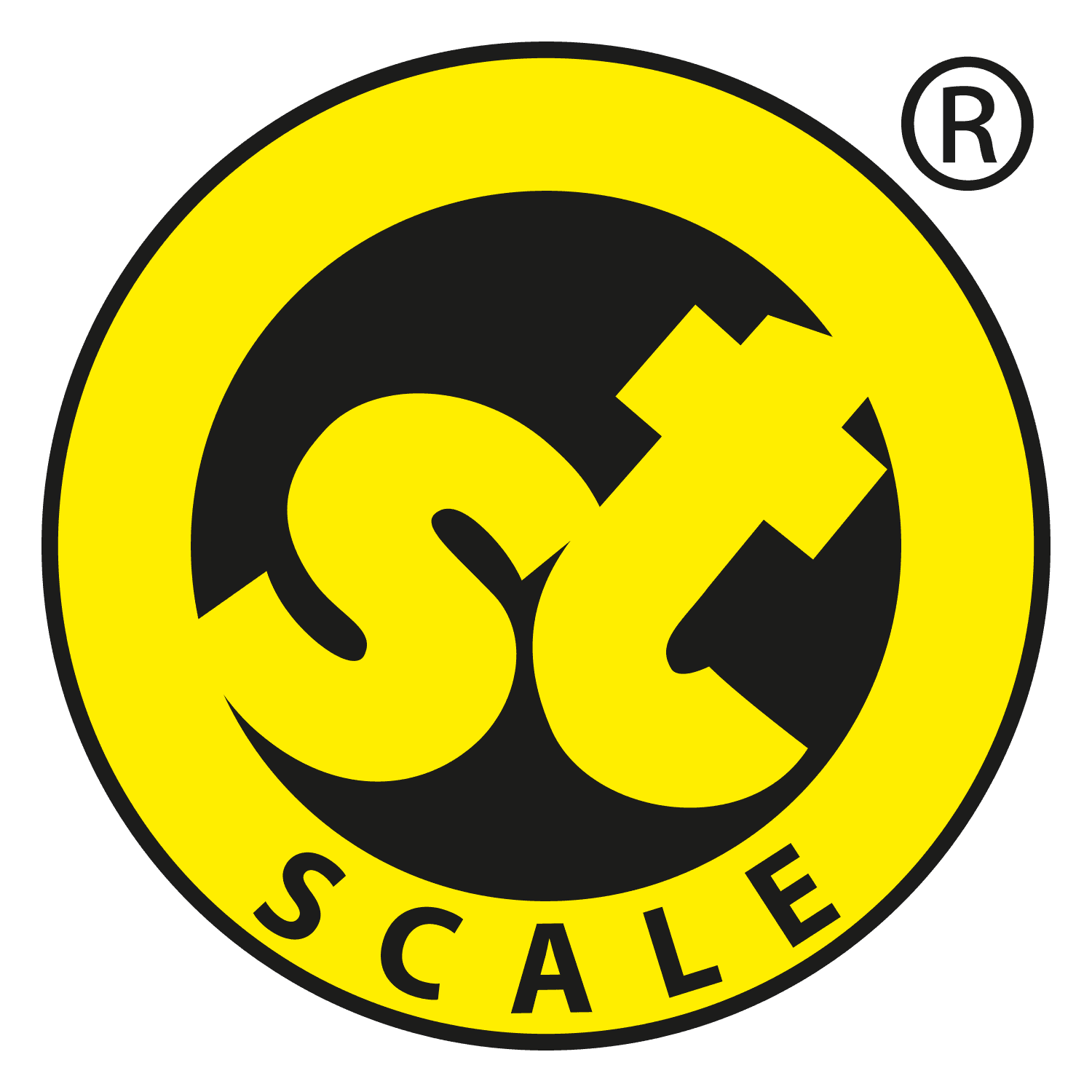 Logo ST Scale