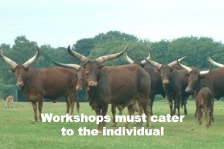 Workshops adapted to meet those attending individual needs Heard of Long Horned Cows