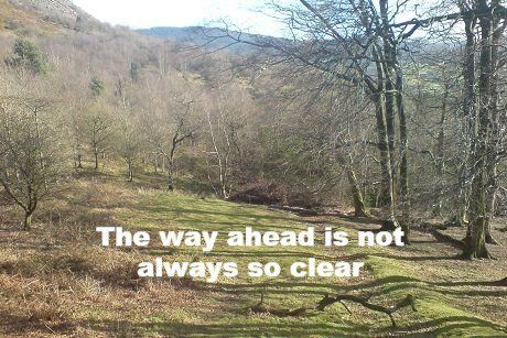 High level support around individual needs Forrest Path