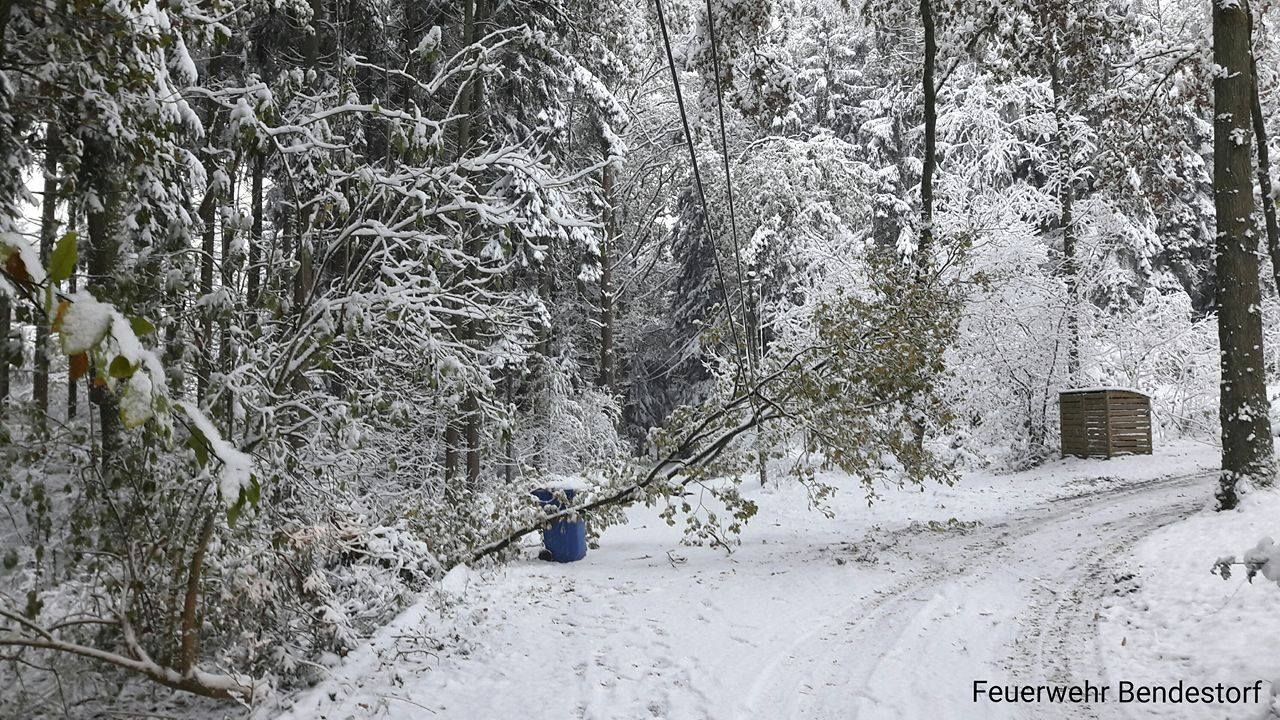 14975685_613651495509229_1999506370_o