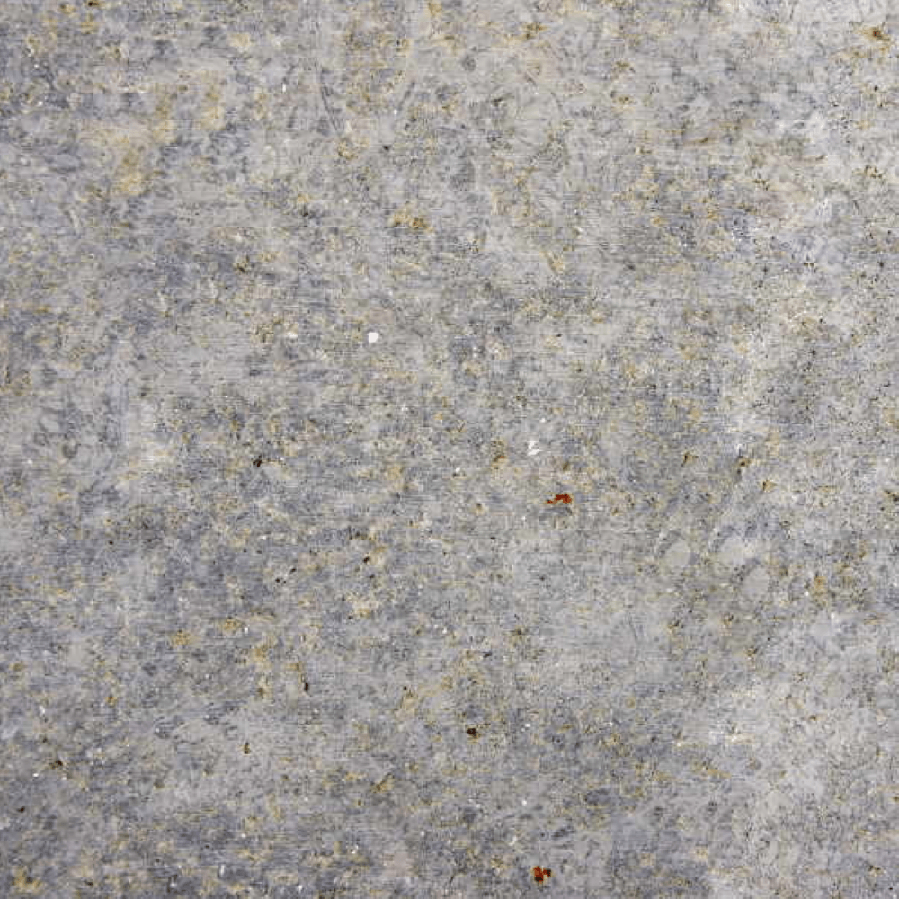 Kirchheimer Muschelkalk, Kalkstein, Limestone