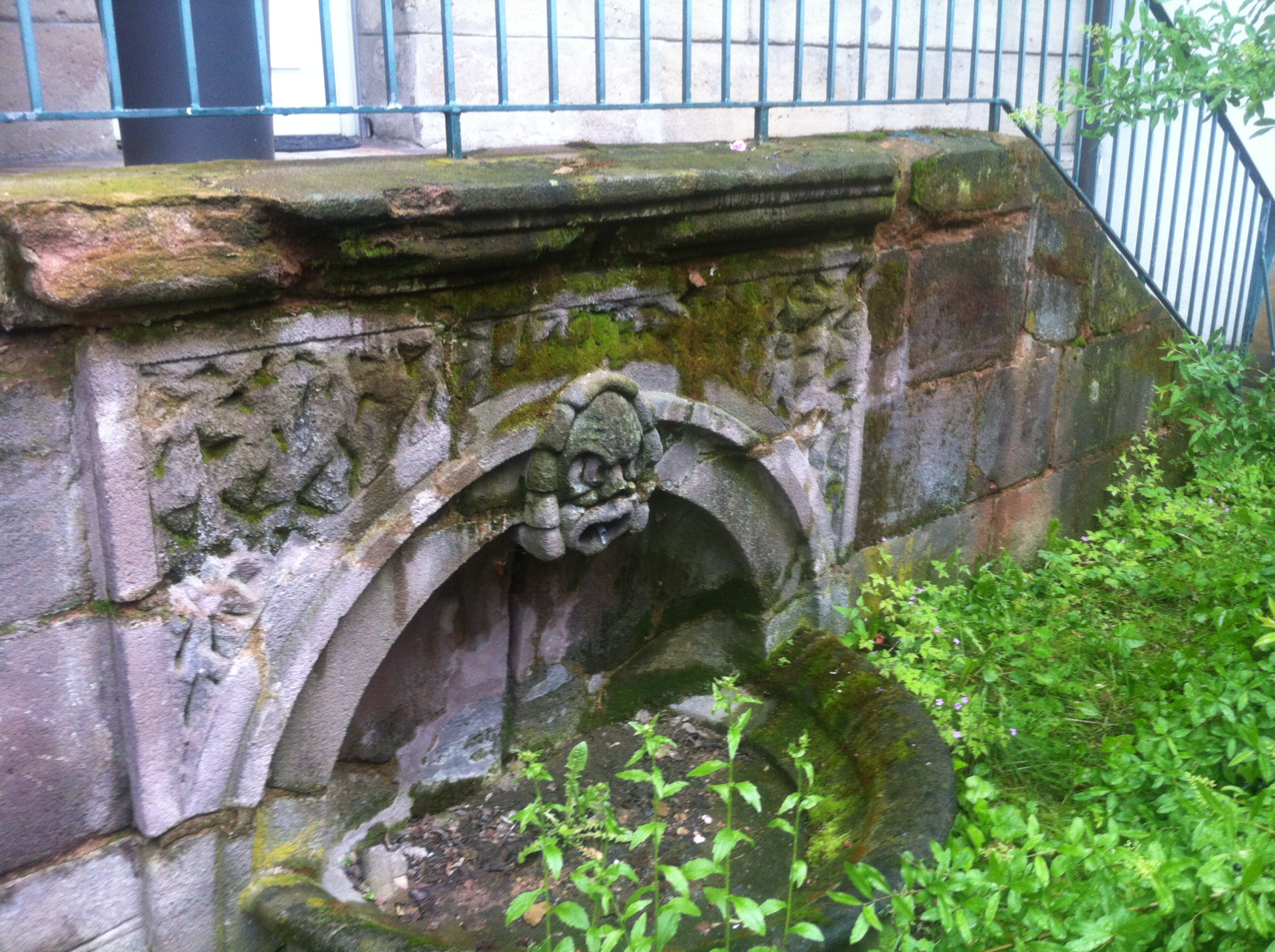 Sandstein Anti Grün