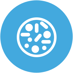 Stabilité Pharmaceutique Stabilité Pharmaceutique