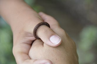 Horse Hair Ring Chestnut on Finger