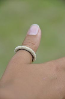 Horse Hair Ring Piebald on Finger