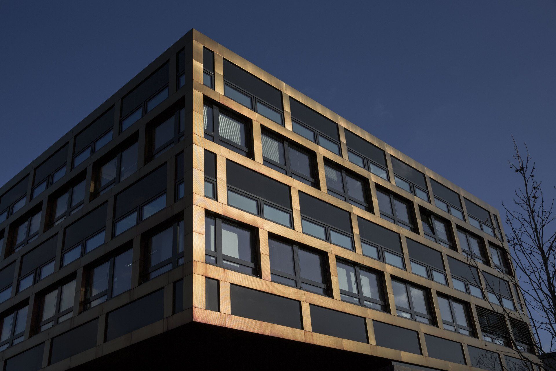 Das Foto zeigt das LION Gebäude des BIAS.