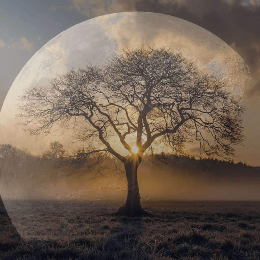 Luna llena de virgo 27 de febrero de 2021