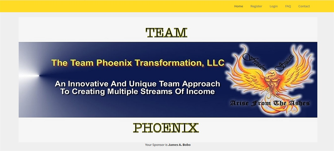 Team Phoenix Transformation website design by JMB Designs LLC