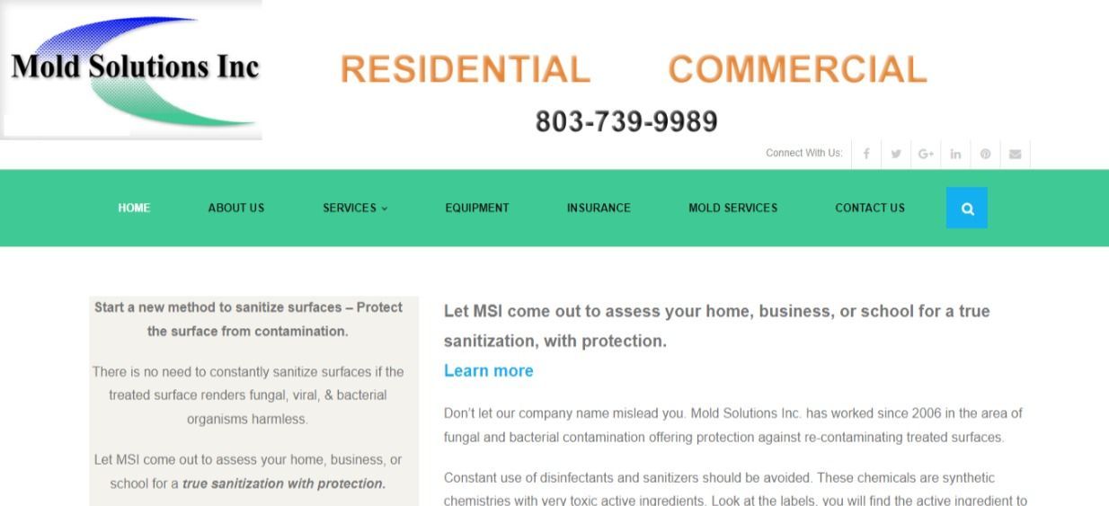 Mold Solutions Inc. website design by JMB Designs LLC