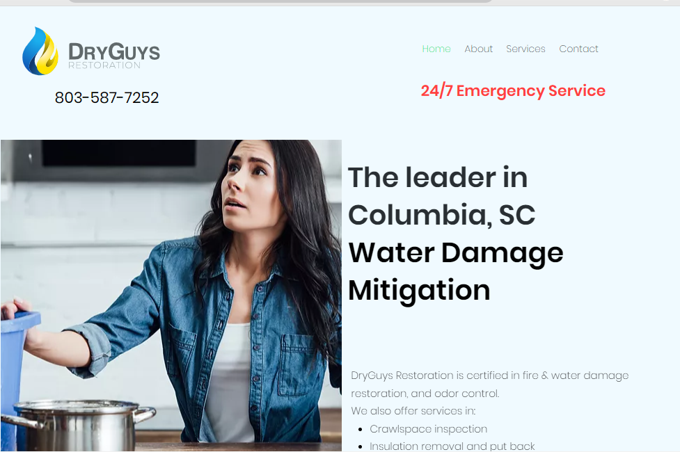 DryGuys Restoration website redesign by JMB Designs LLC
