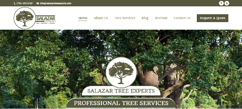 Salazar Tree Experts website design by JMB Designs, LLC