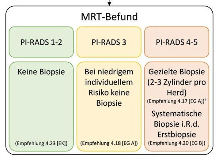 Schema über die Biopsie-Indikation anhand PI-RADS nach S3-Leitlinie