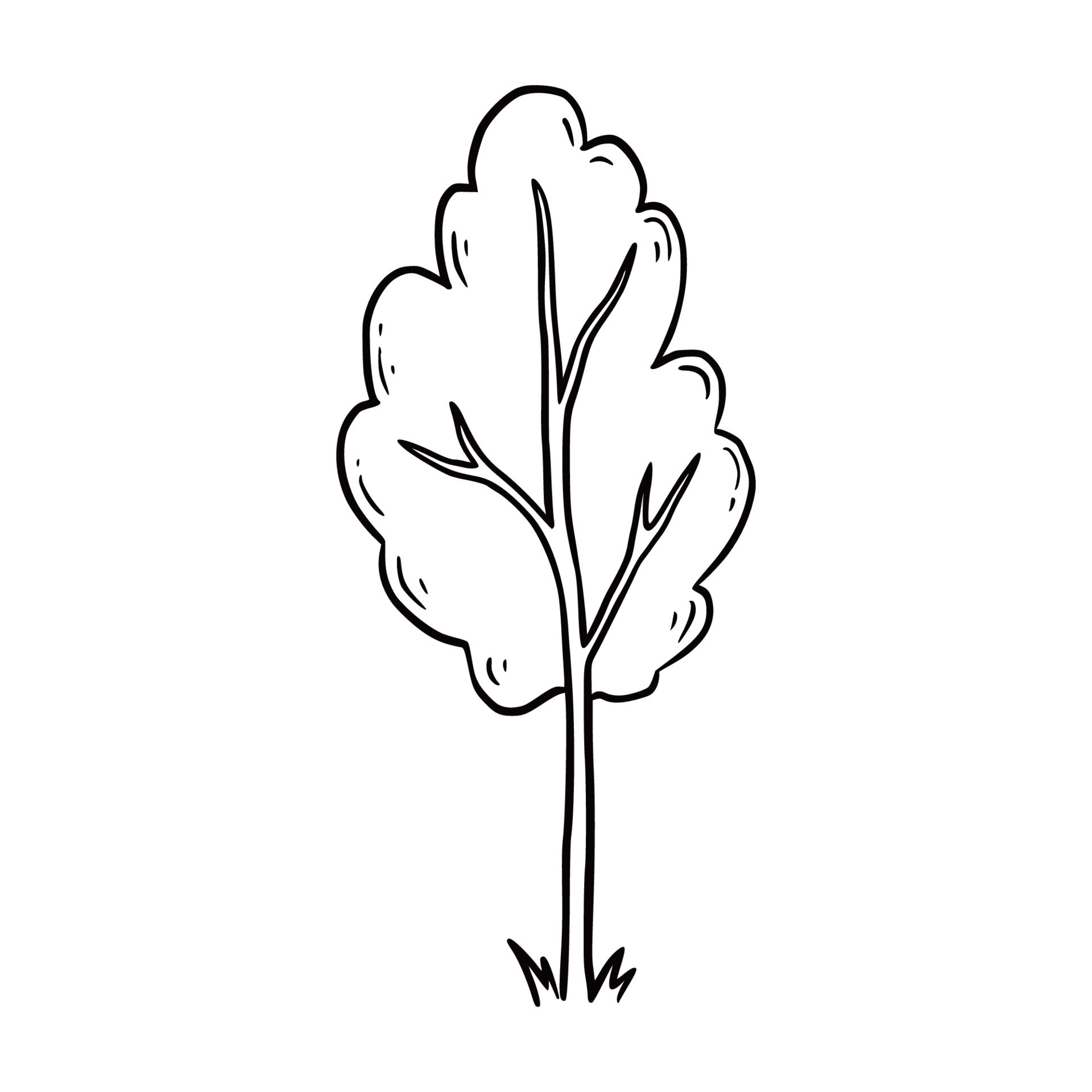 Baum