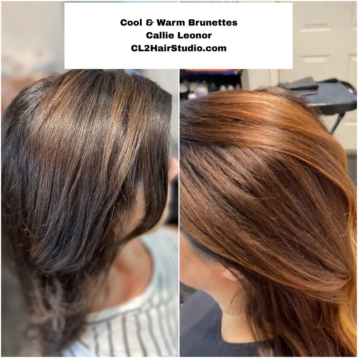 CL2 Hair Studio Color Service Dimensional Brunettes