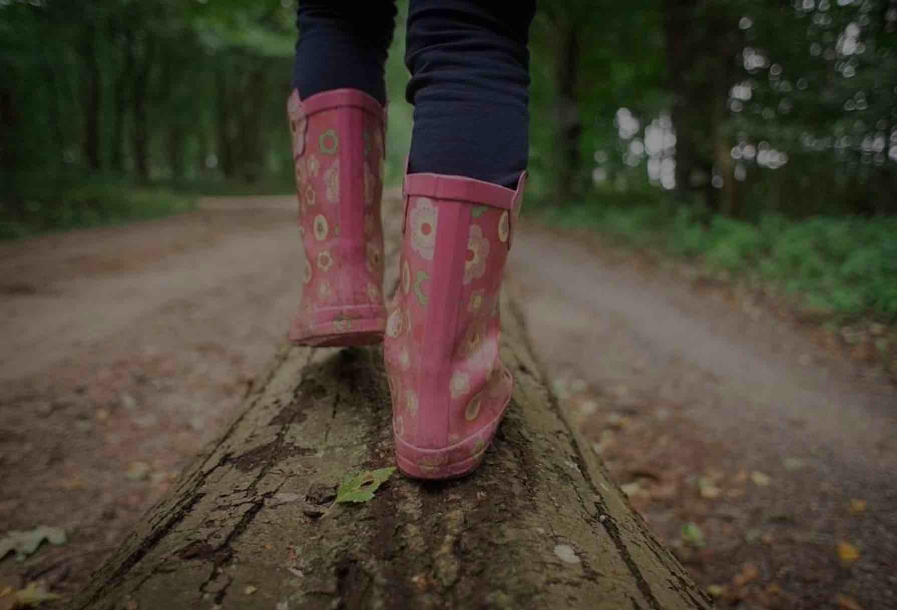 Link zu: Beantragung und Kosten