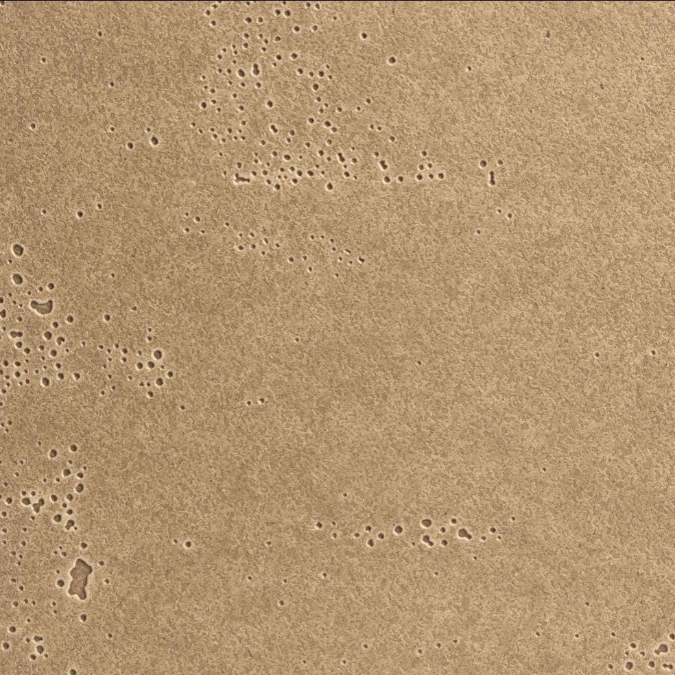 Pannelli cannetta 3D