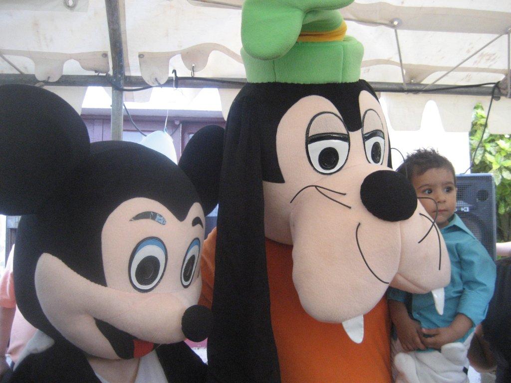 location mascotte dingo 77, 78, 91, 92, 93, 94, 95, paris