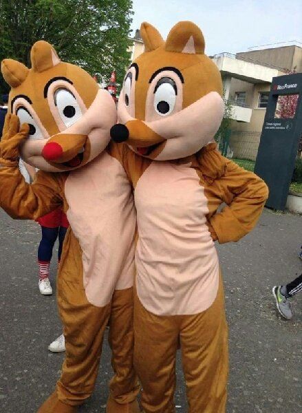 location mascotte tic tac 77, 78, 91, 92, 93, 94, 95, paris