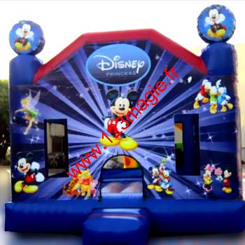 Location chateau structure gonflable mickey 77, 78, 91, 92, 93, 94, 95, paris