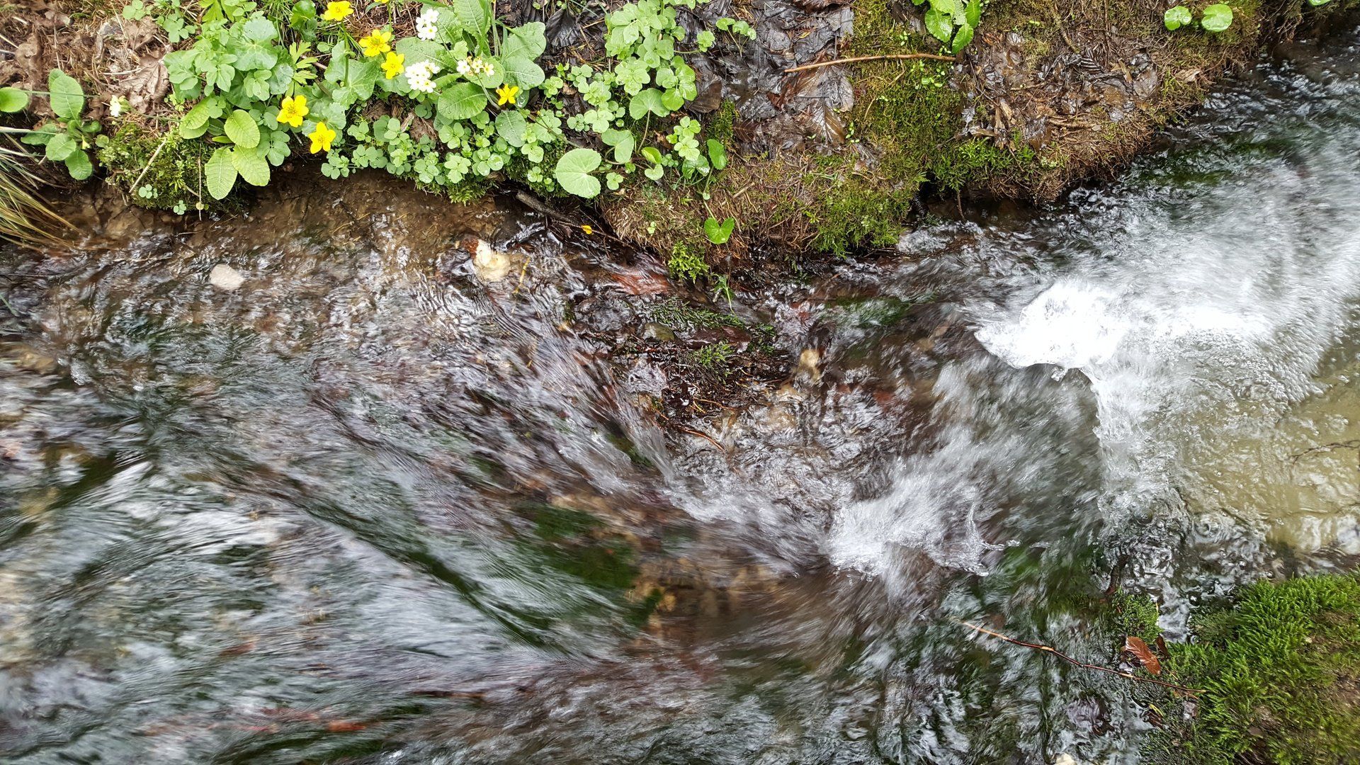 Wasseradern sind die bekannteste geologische Störung