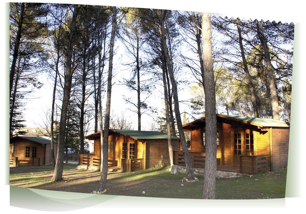 Cabañas Escalona. Pinada