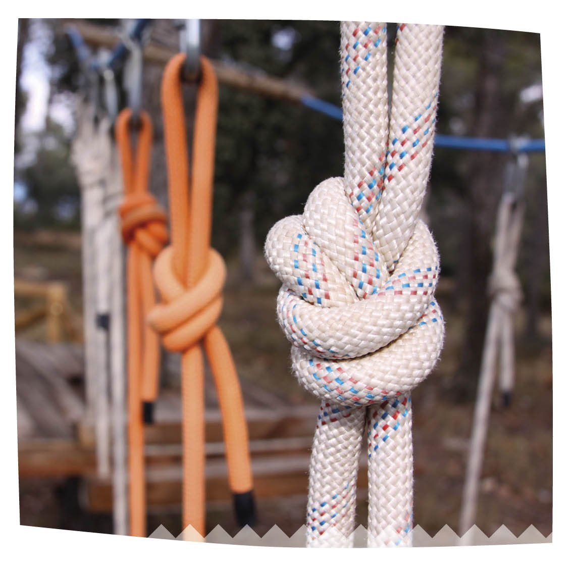 Pinos Park. Detalle nudos