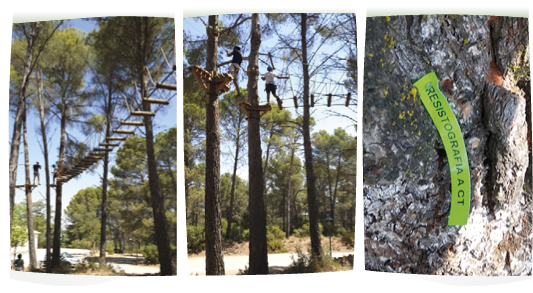 Pinos Park, actividades en altura y certificado de seguridad según normativa UNE