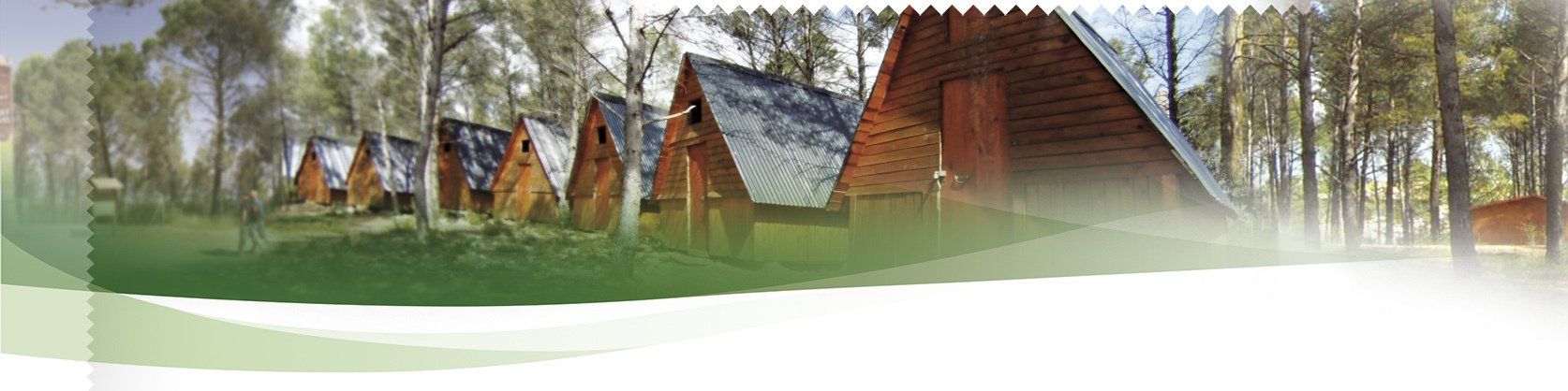 Cabañas de madera en bosque de pinos