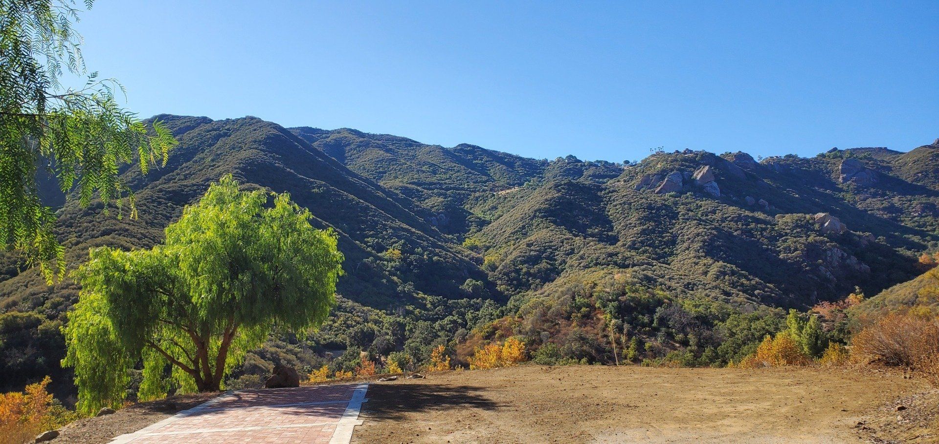 Fall view of brick flat area with trees turning for fall colors in the background