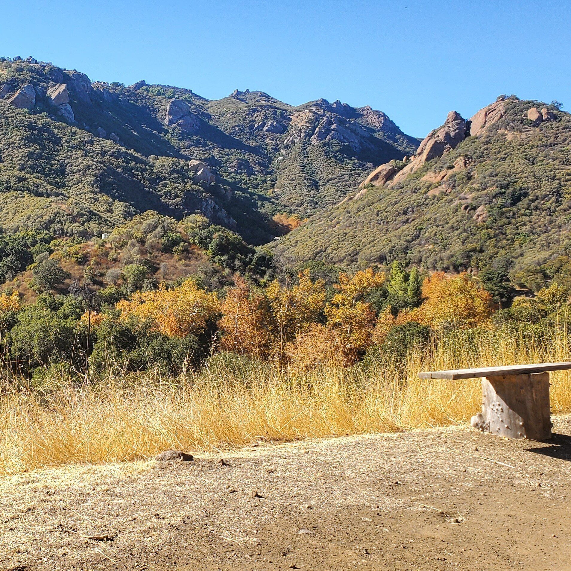Fall colors and dry grasses with rustic stump stool and mountains in the background