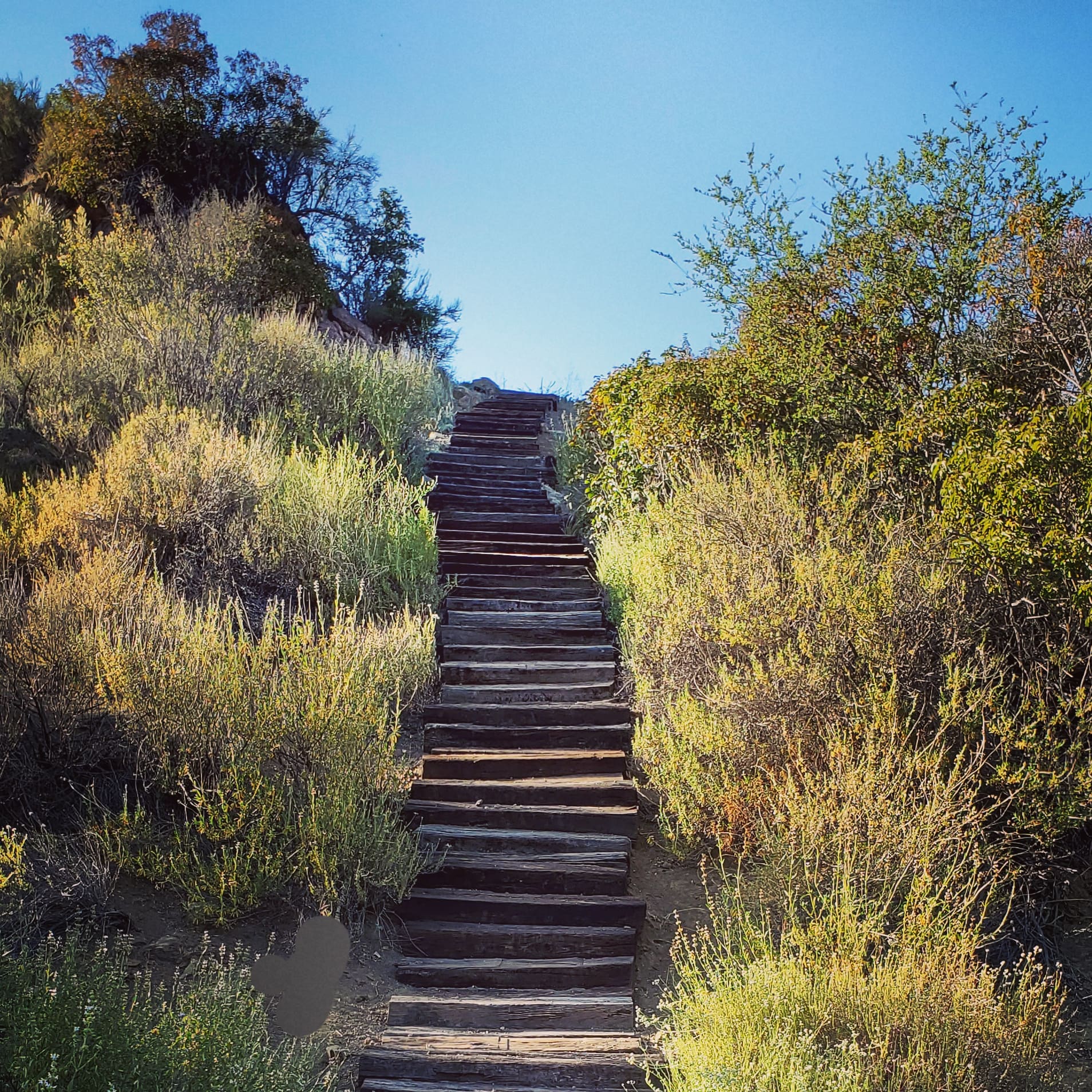 Rustic stairs; wooden stairs