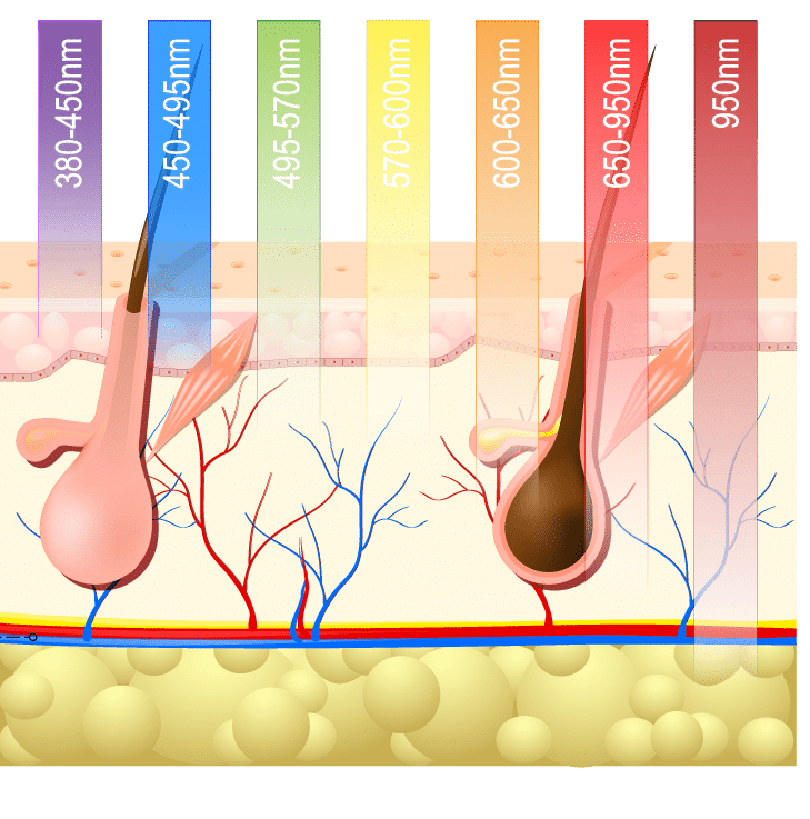 Cliquez pour agrandir microneedling, stimulation biophysique et chimique