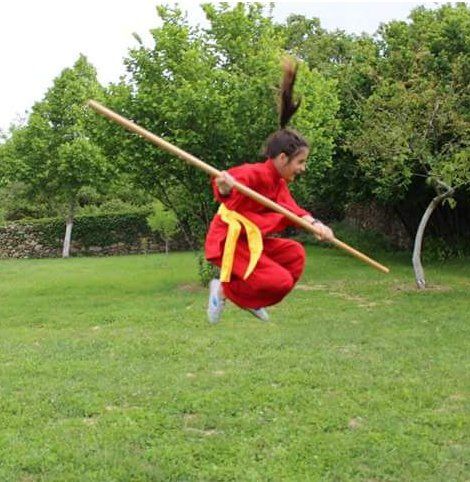 Niños practicando Kung Fu Infantil