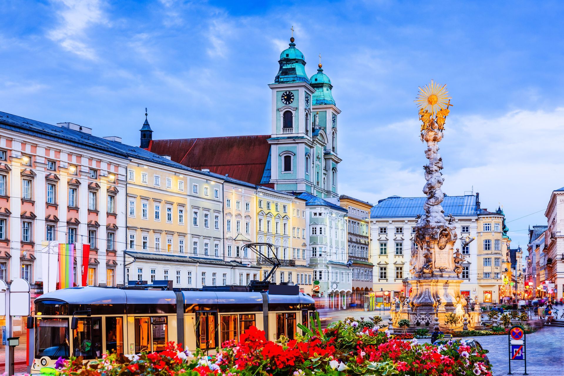 Schädlingsbekämpfung Linz Schaedlingsbekaempfung Linz