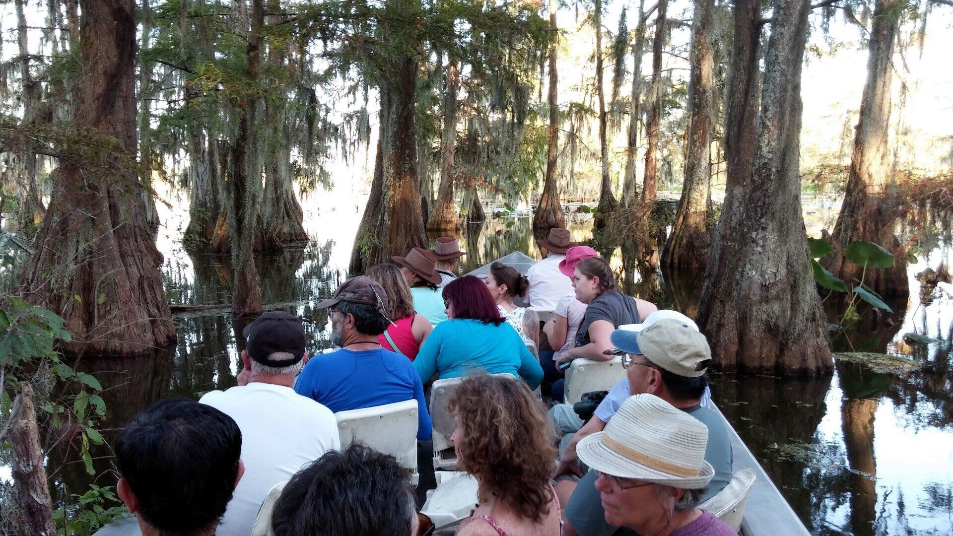 best swamp tour images