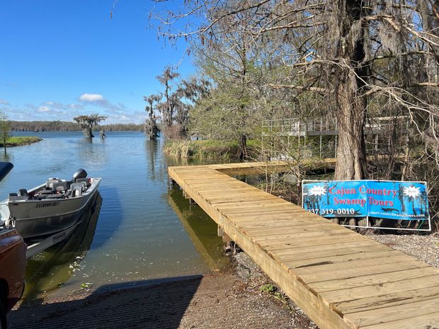 Lake Martin Swamp Tours Near lafayette Louisiana
