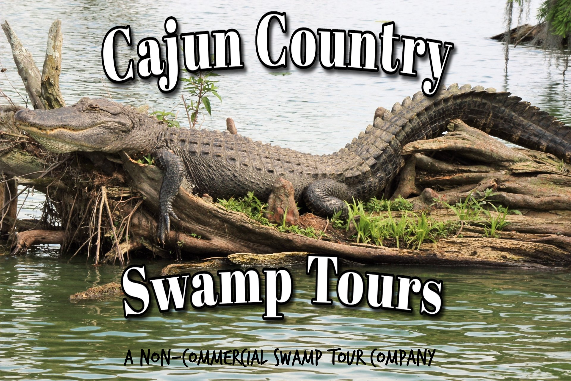 Cajun Country Swamp Tours