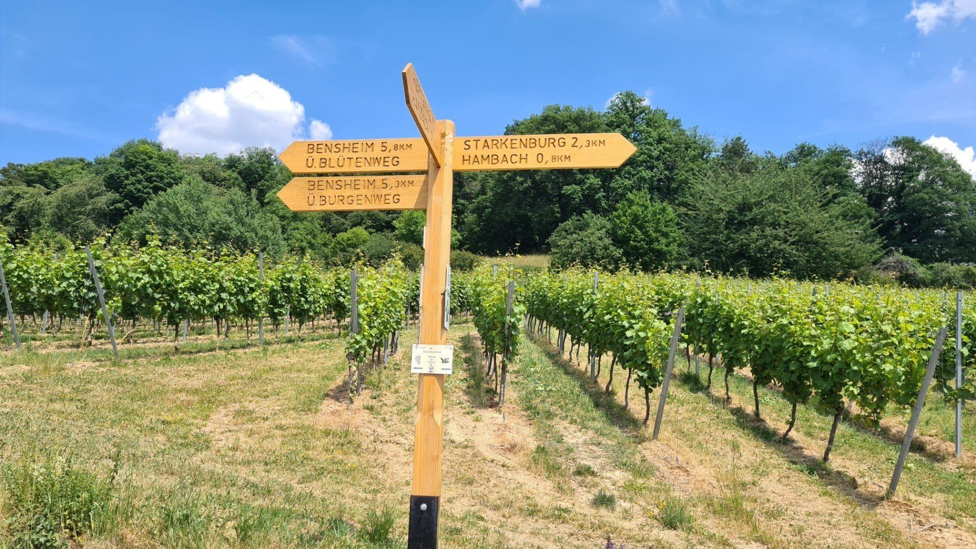 Wegweiser Blütenweg und Burgensteig