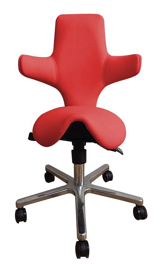 Sattelsitz Gesundheitsstuhl