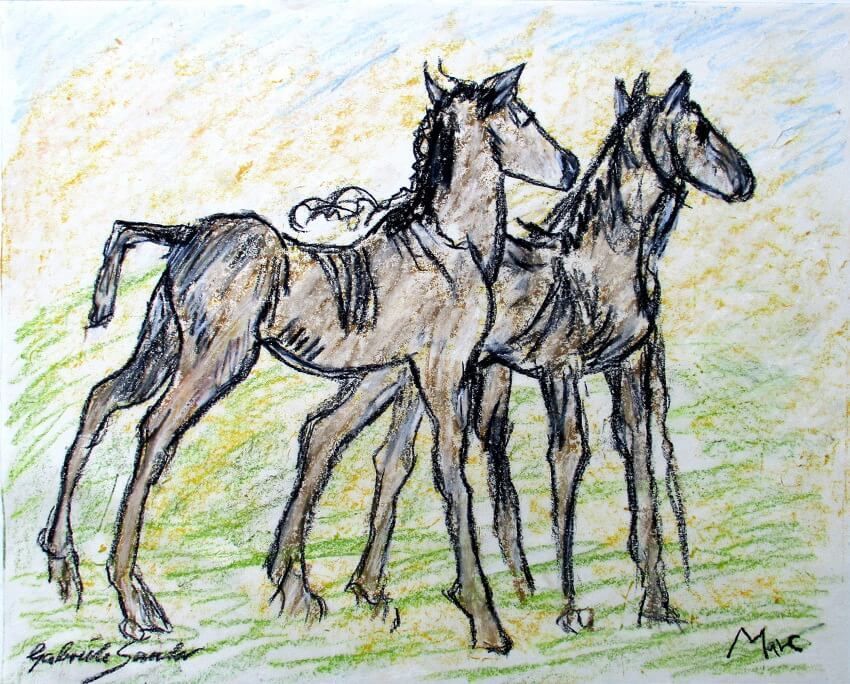 geburtstagsgeschenk marc zwei fohlen eine zeichnung als reproduktion pferde bild kaufen