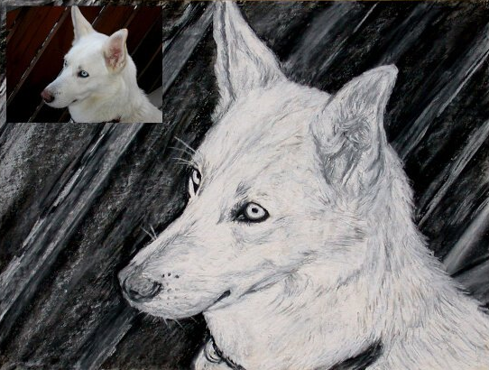 husky zeichnen als hundeportrait 