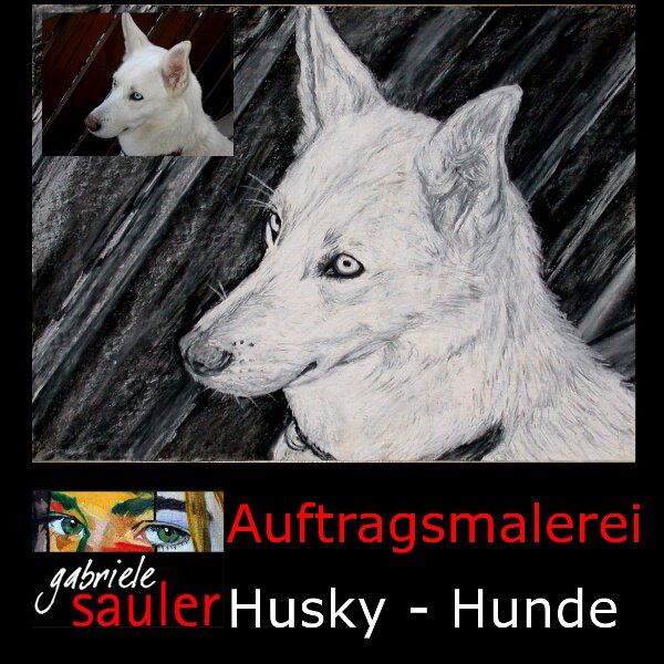 Husky zeichnen lassen als Hundeportrait vom Foto von Gabriele Sauler Künstlerin aus Stuttgart