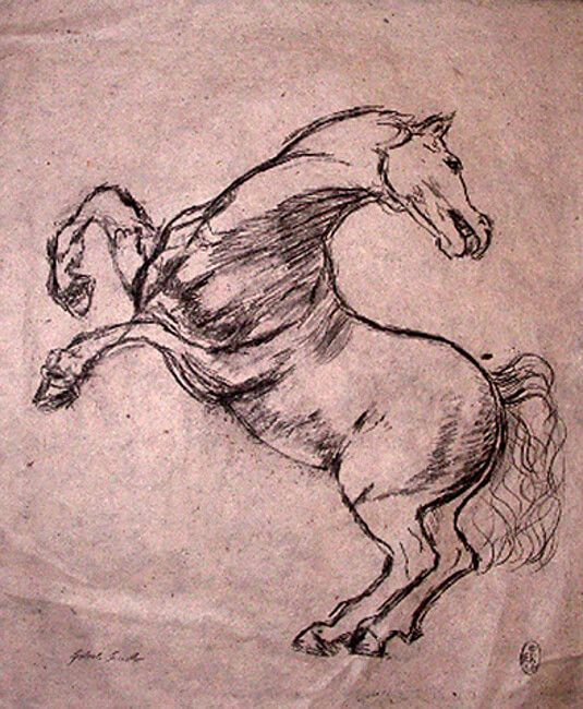pferde zeichnung nach leonardo da vinci pferdestudie ein pferd gezeichnet