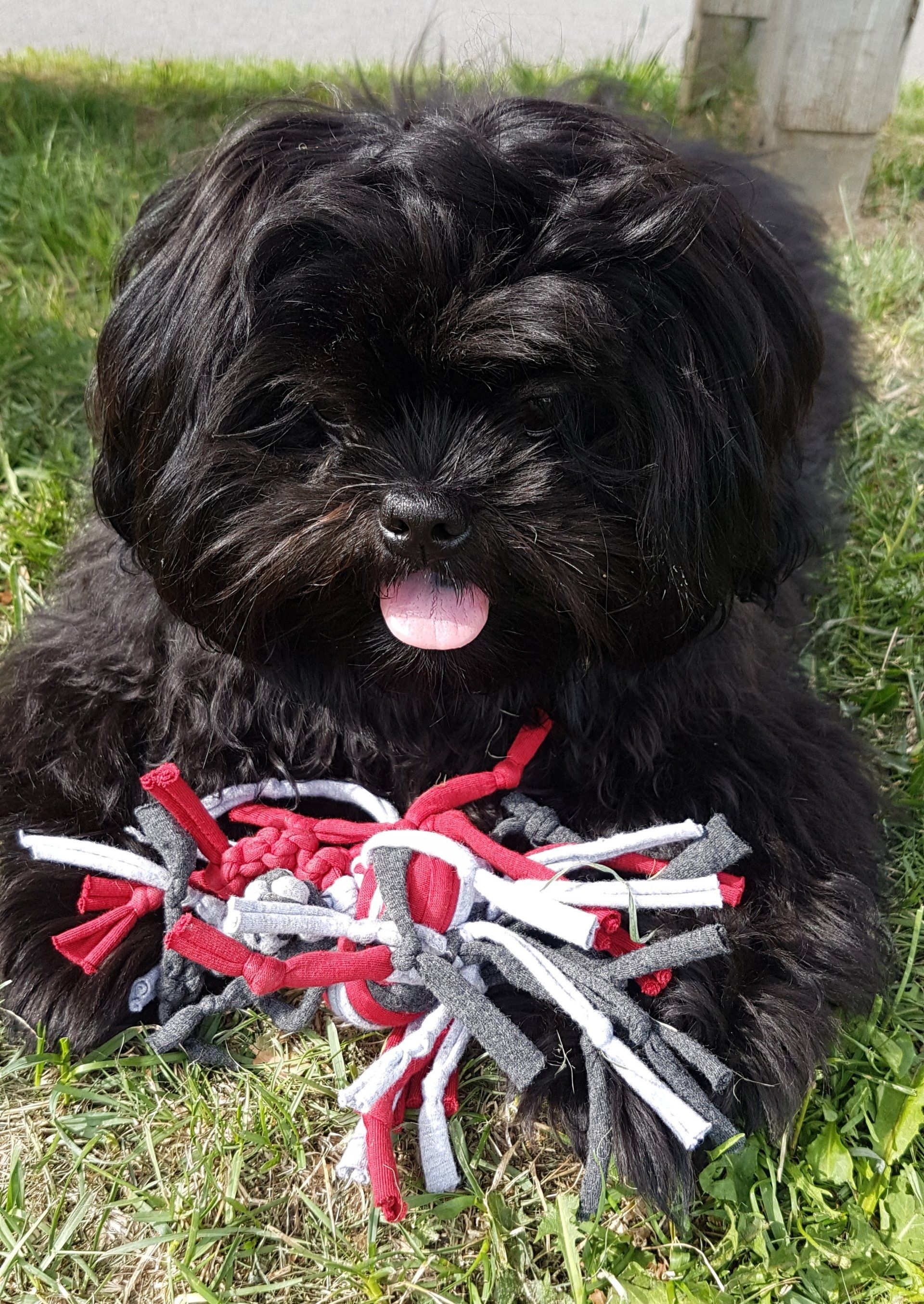 Spielknoten sind ein tolles Spielzeug für Deinen Hund. Jeder ist ein Unikat. Für Welpen gibt es nichts besseres, wenn die Zähne kommen. Aber kleine und mittlere Hunde haben damit ihren Spaß. Katzen und Kinder übrigens auch., :)