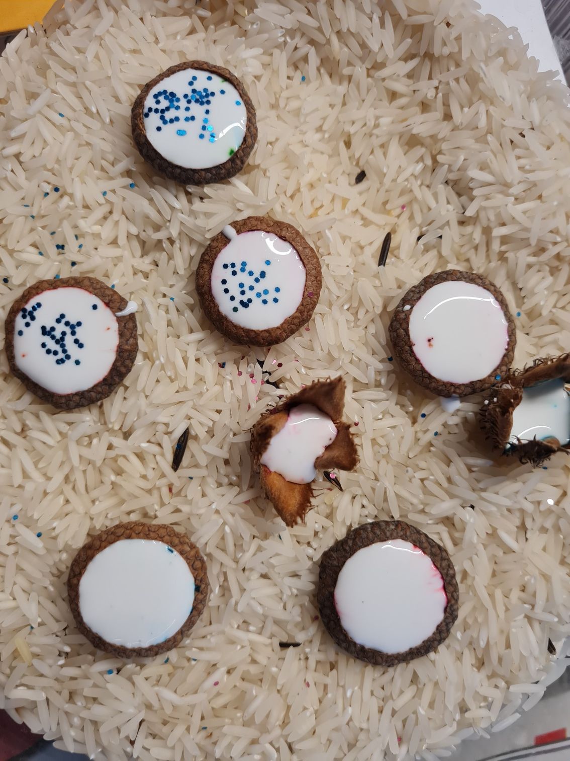 Anleitung wir aus gesammelten Eichelhütchen im Herbst tolle Eicheldiamanten gemacht werden von Dwaffis-Welt