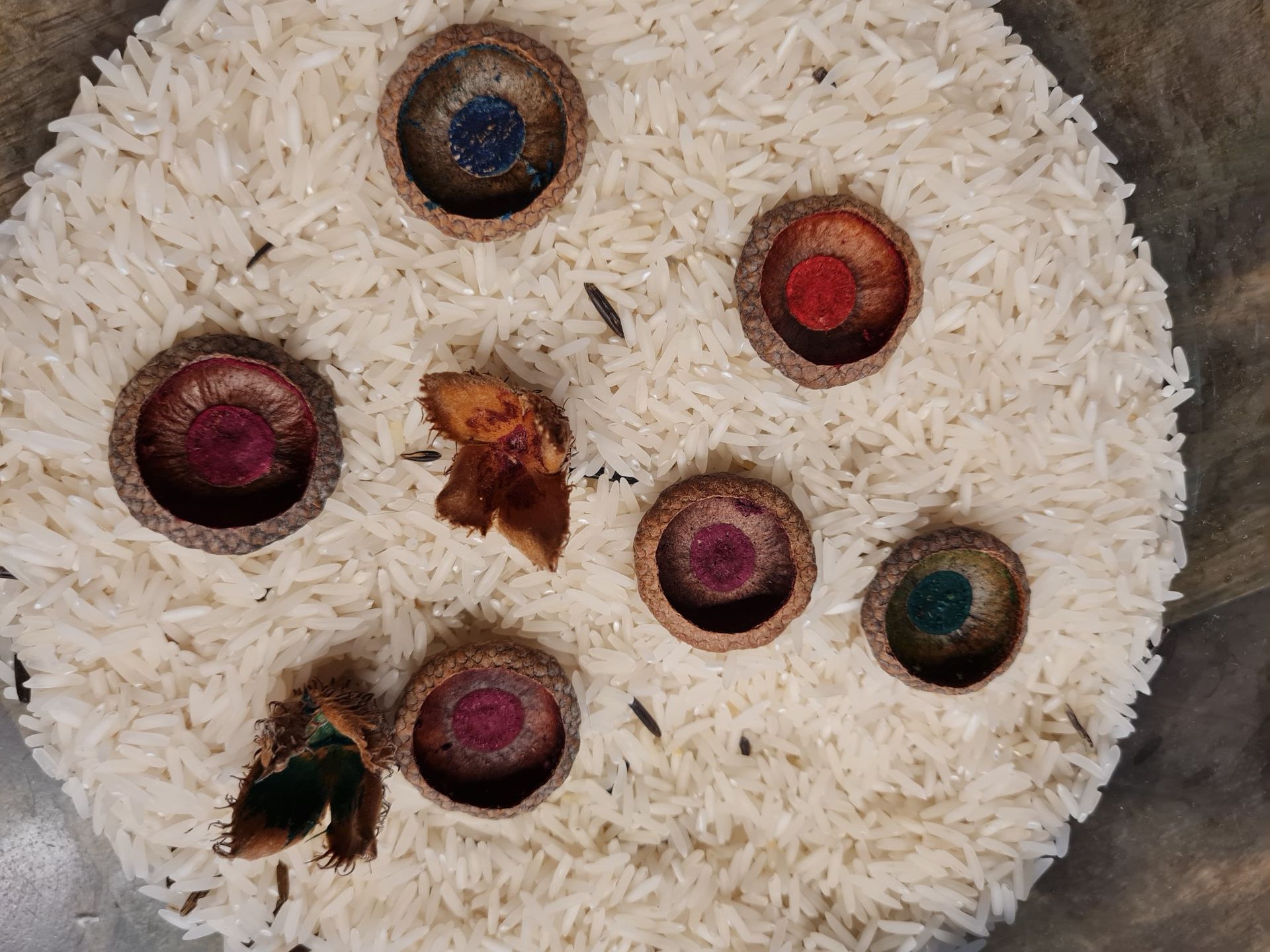 Anleitung wir aus gesammelten Eichelhütchen im Herbst tolle Eicheldiamanten gemacht werden von Dwaffis-Welt